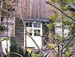 �搶�̕a�@�E����