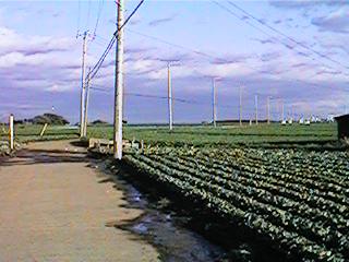 ����̕@�ւ̓�