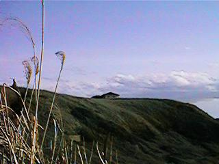 �J�t�F�E�A���t�@