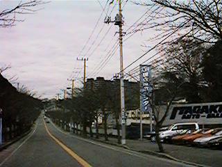 ���H�ォ��R�~�b�N�Ɠ����A���O����_���ĎB�e