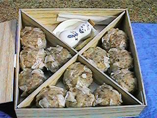 �V�E�}�C�Əݖ�����