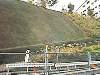 �g�e�e�≡����B�e