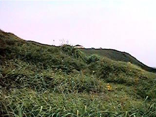 �J�t�F�E�A���t�@