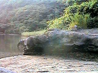 ���ԑ�Q�E�~�T�S��