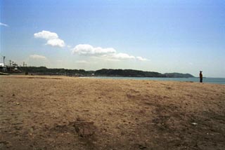 ���q�̓���]�P