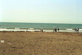 ���q�̓���]�Q