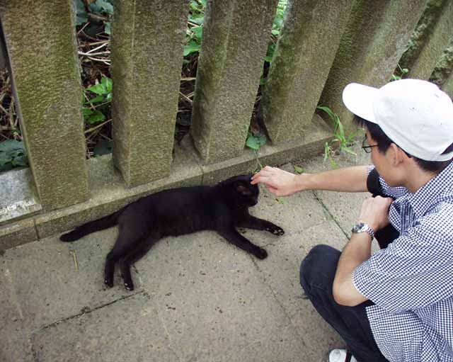 �˂����債