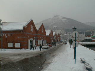 ���X�q��