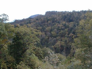 �g�t����؂Q