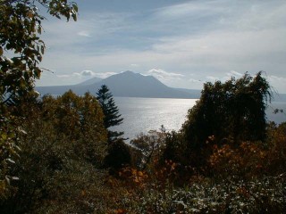 �����猩���x┌�