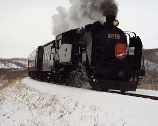 �~�̎������R