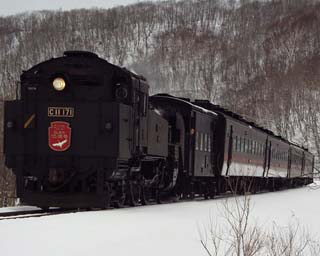 �~�̎������W