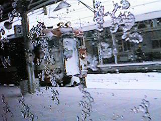 �����������胉�C�i�[