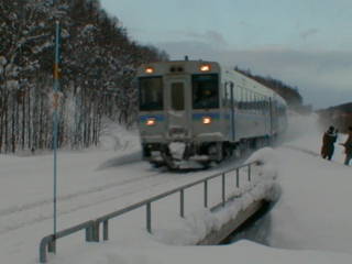 �L�n�P�T�O�|�P