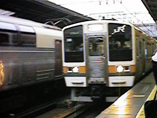 ���C���{���P