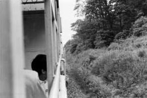 �m���b�R���S