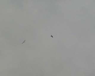 �O���C�_�[