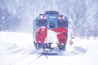 �L�n�S�O�u���邩�ɍ���v