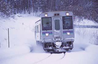 �L�n�P�T�O