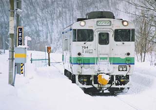 �L�n�S�O�E�m�[�}��